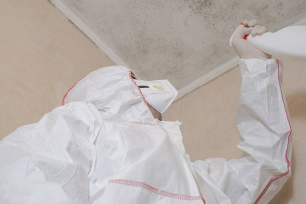 Best White Mold Remediation in Wingdale, NY